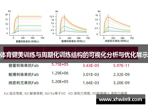 体育健美训练与周期化训练结构的可视化分析与优化展示